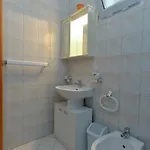 Branko 2081 * プーラ